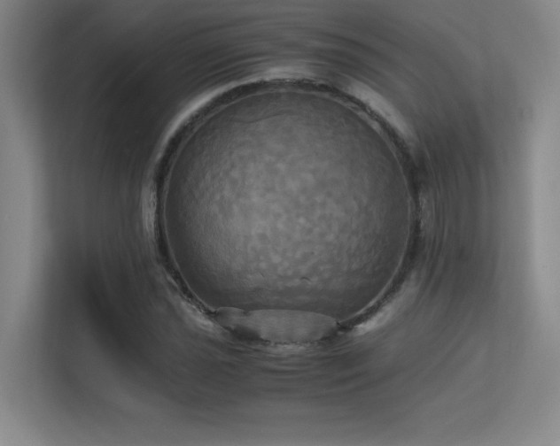 X0000113251021200909101424