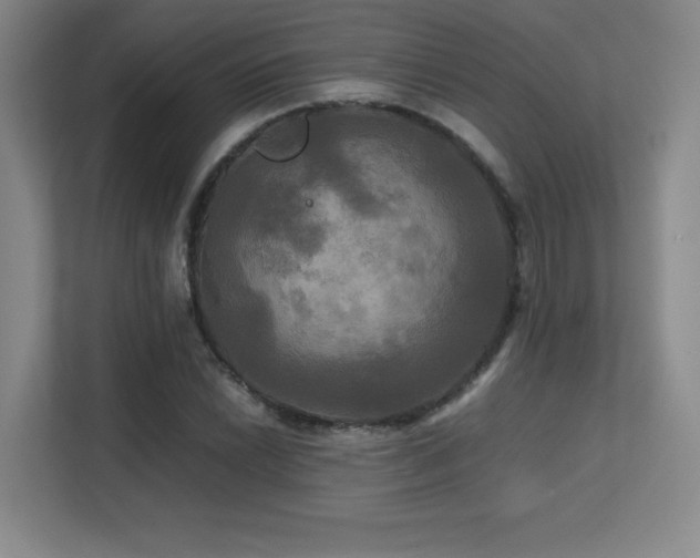 X0000113251022200909101424