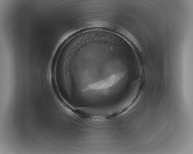 X0000113251024200909101424