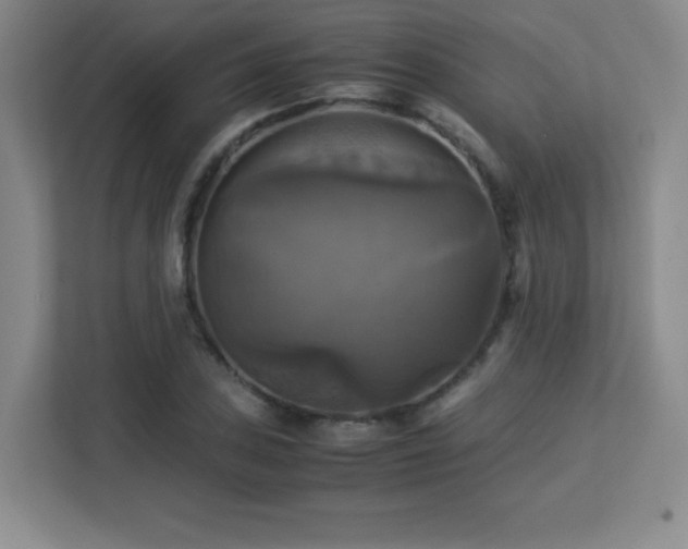 X0000113251027200909101424