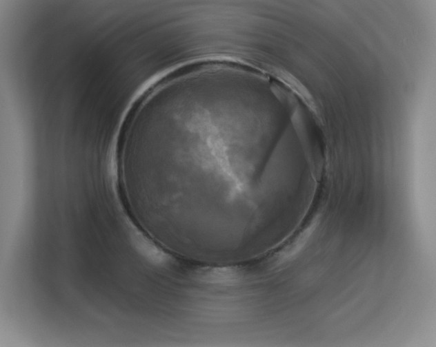 X0000113251028200909101424