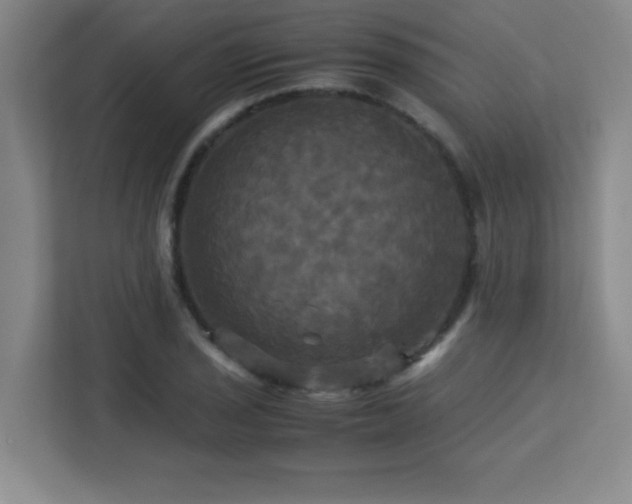 X0000113251029200909101424