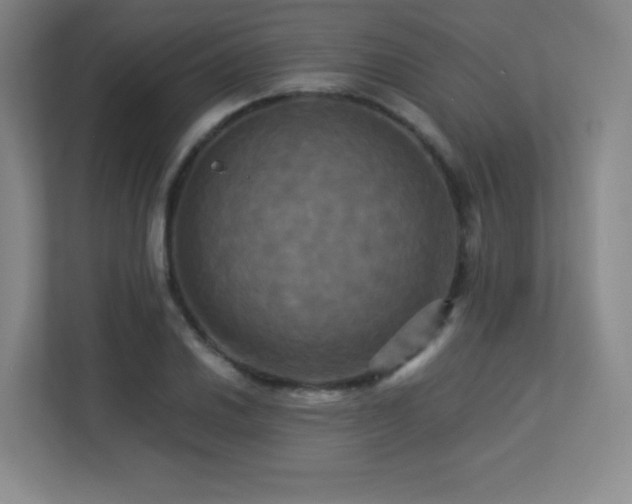 X0000113251030200909101424