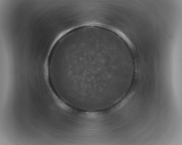 X0000113251032200909101424
