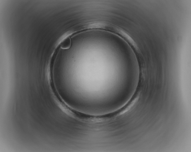 X0000113251034200909101424