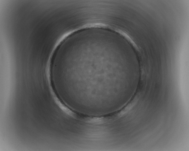 X0000113251038200909101424
