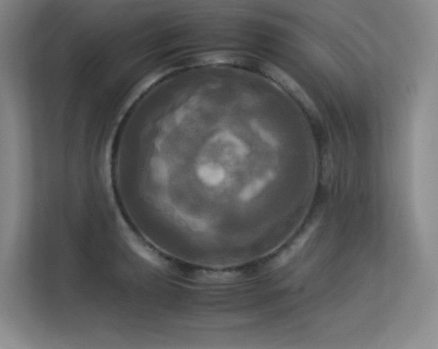 X0000113251039200909101424