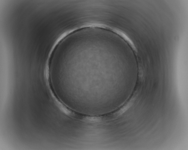 X0000113251040200909101424