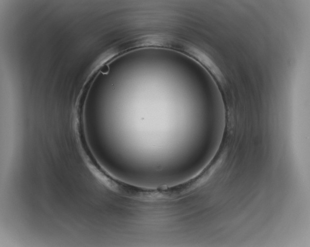 X0000113251042200909101424
