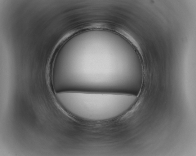 X0000113251045200909101424