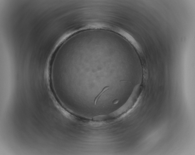 X0000113251046200909101424