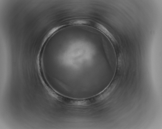 X0000113251047200909101424