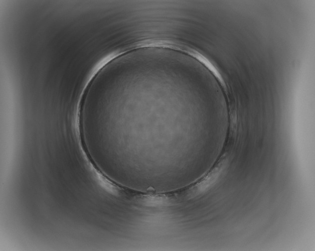 X0000113251050200909101424