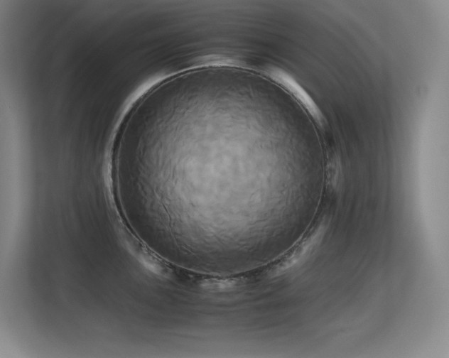 X0000113251051200909101424