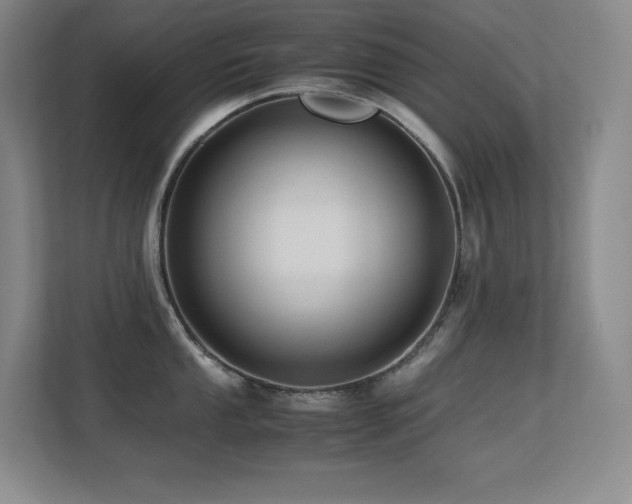 X0000113251053200909101424