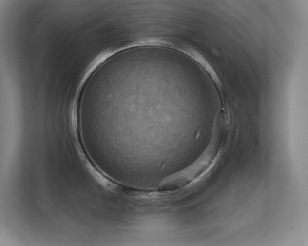 X0000113251054200909101424