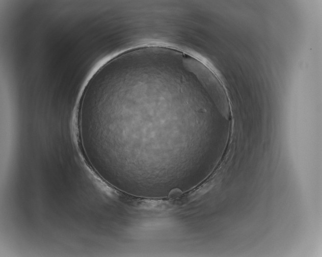 X0000113251056200909101424