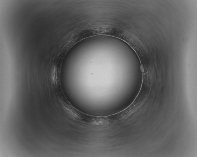 X0000113251058200909101424