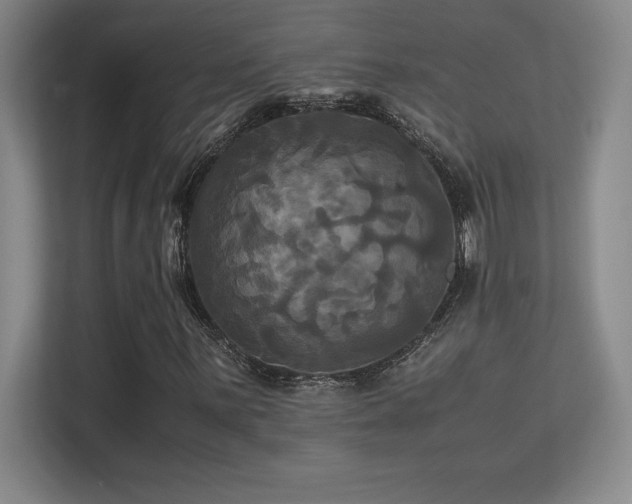X0000113251059200909101424