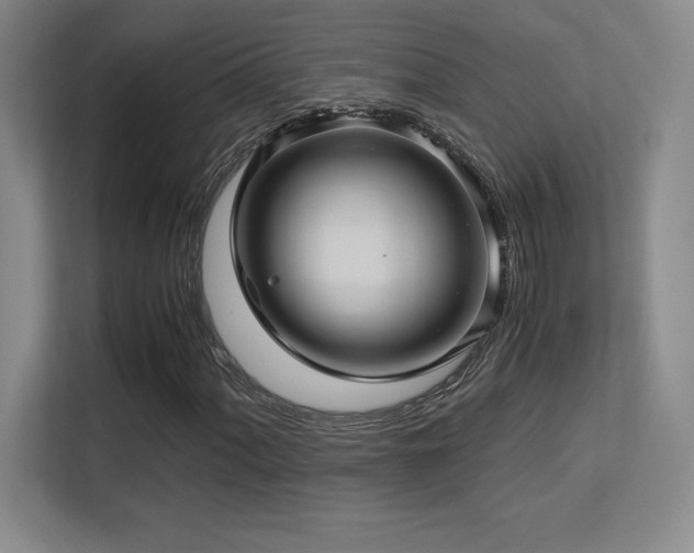 X0000113251060200909101424