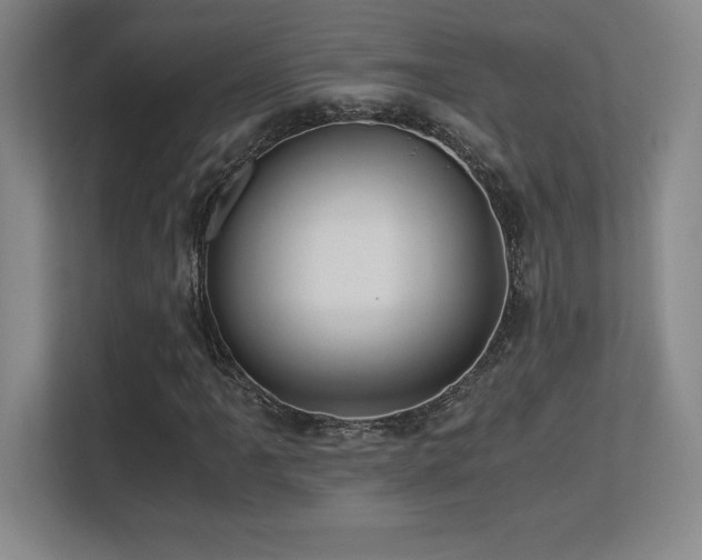X0000113251061200909101424