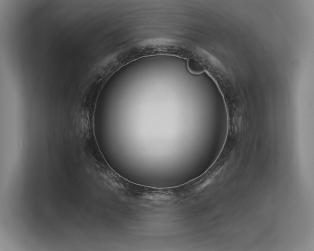 X0000113251062200909101424