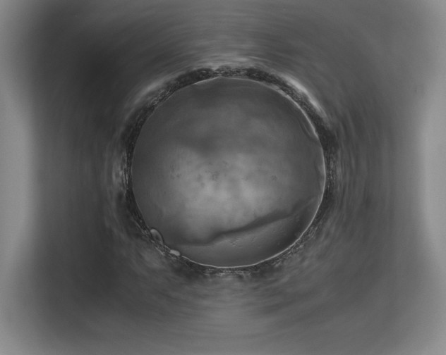 X0000113251063200909101424