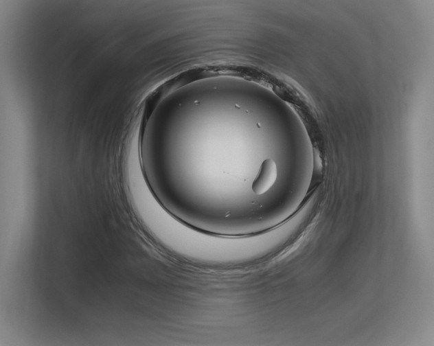 X0000113251065200909101424