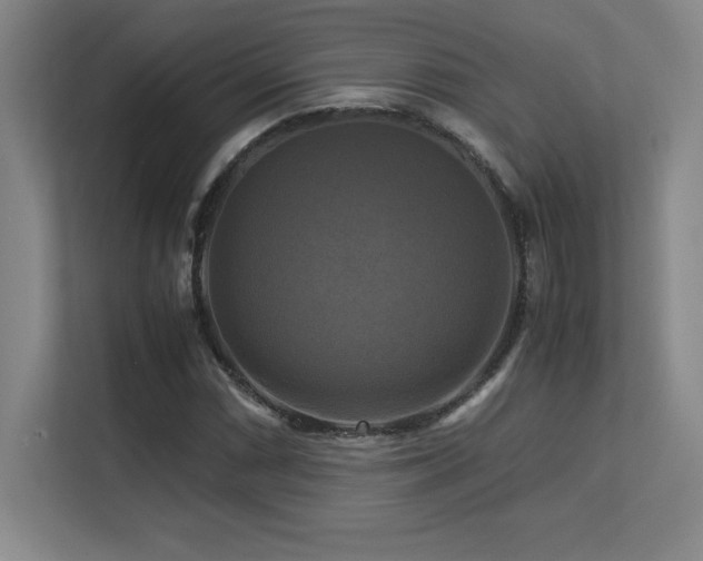 X0000113251066200909101424