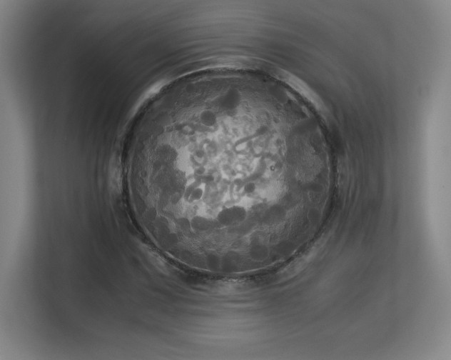 X0000113251067200909101424