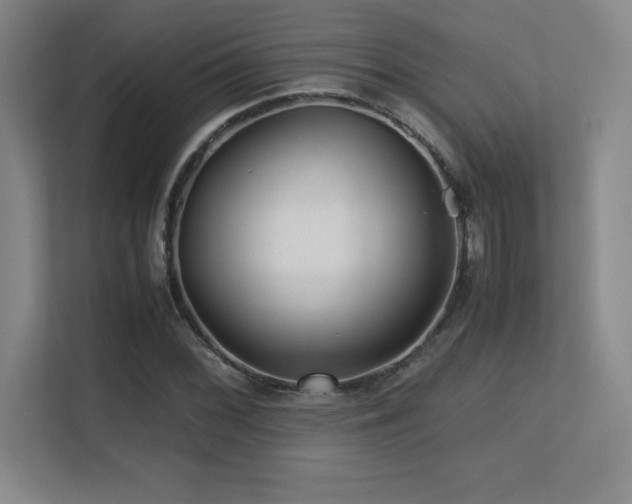 X0000113251068200909101424