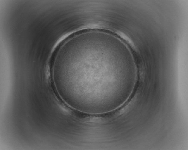 X0000113251070200909101424