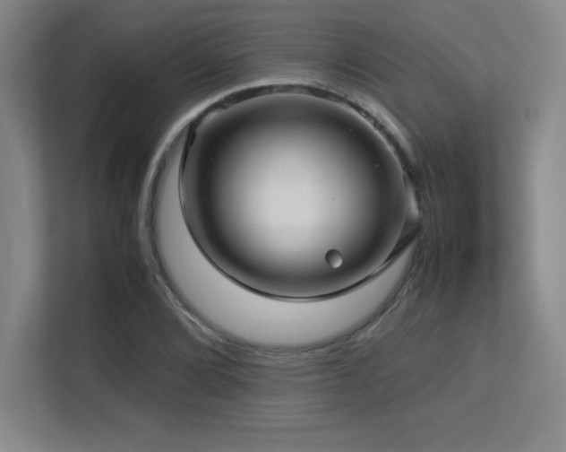 X0000113251072200909101424