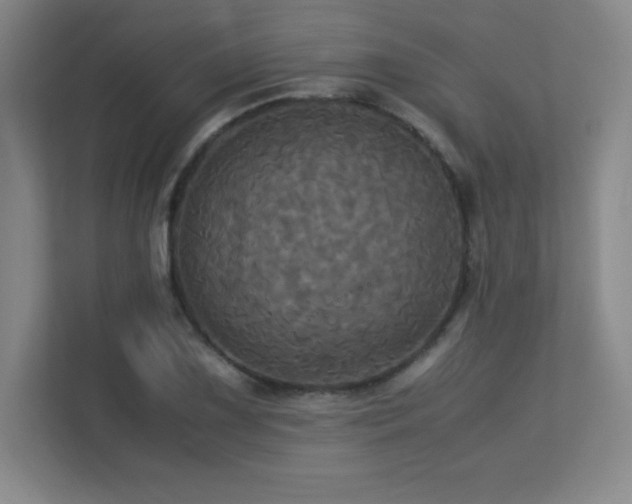 X0000113251075200909101424
