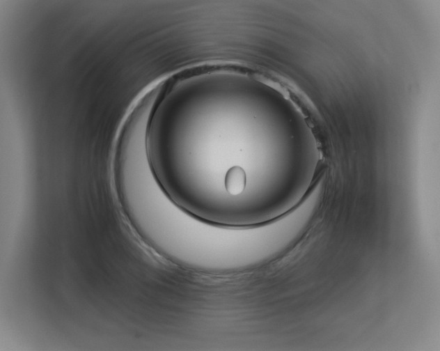 X0000113251076200909101423