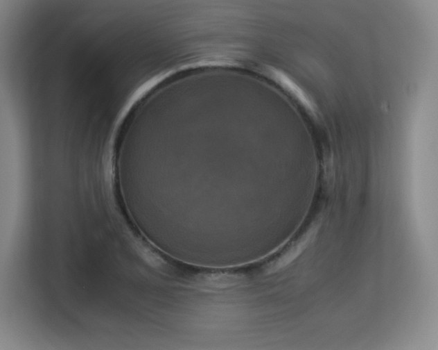 X0000113251077200909101423
