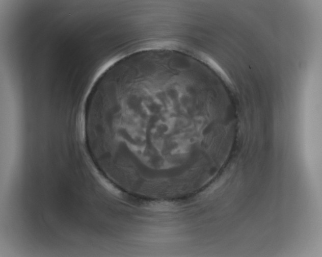 X0000113251079200909101423