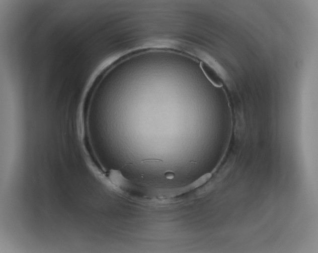 X0000113251080200909101423