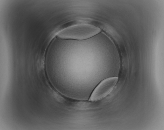X0000113251081200909101423