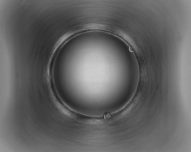 X0000113251082200909101423