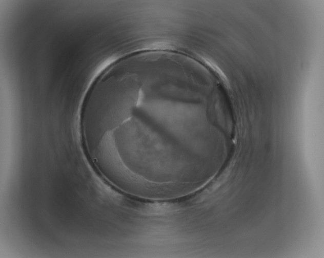 X0000113251087200909101423