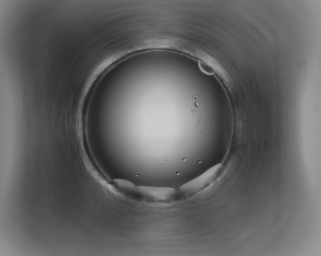 X0000113251088200909101423
