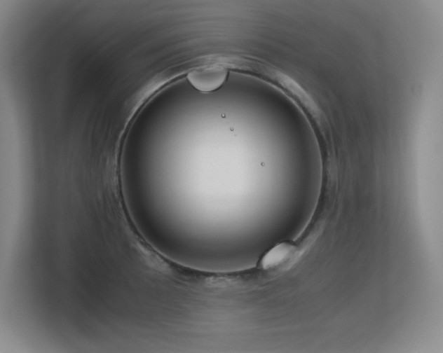 X0000113251089200909101423