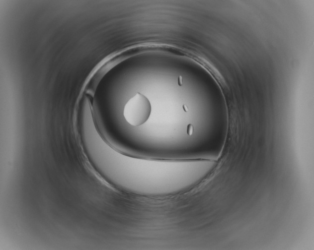 X0000113251092200909101423