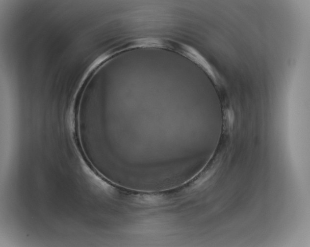 X0000113251095200909101423