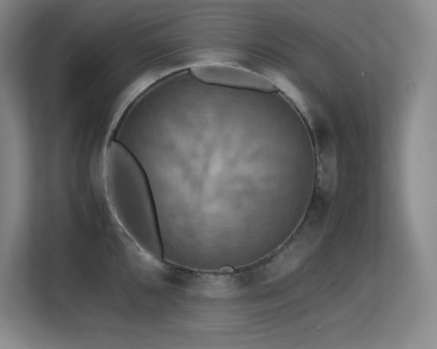 X0000113251096200909101423