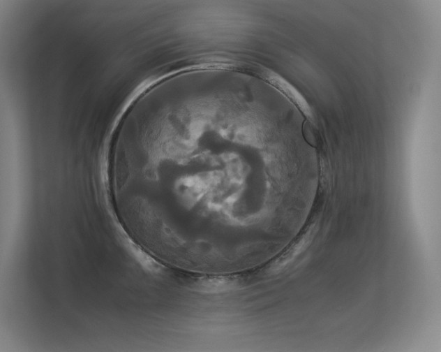 X0000113251099200909101423