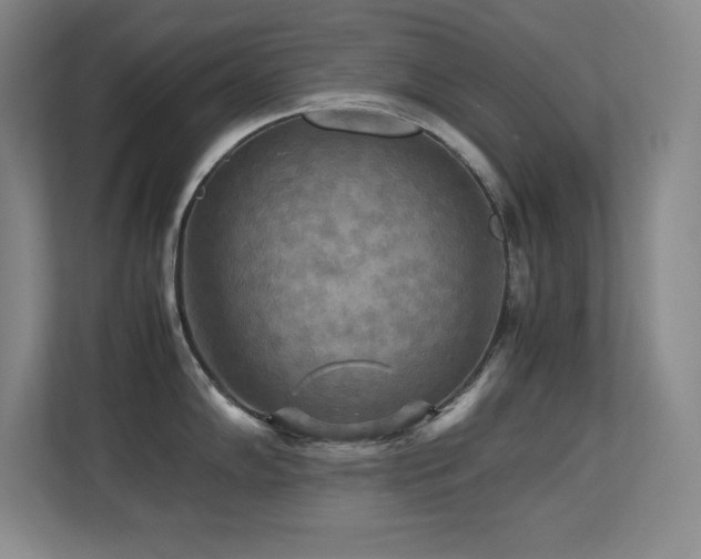 X0000113251102200909101423