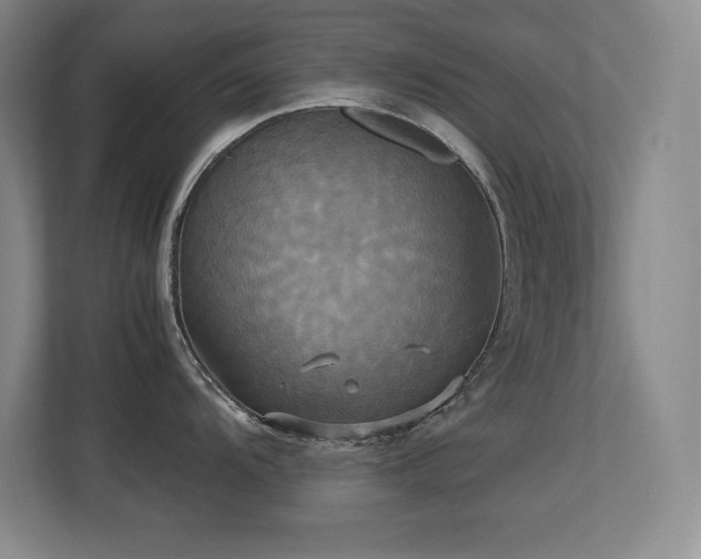 X0000113251104200909101423