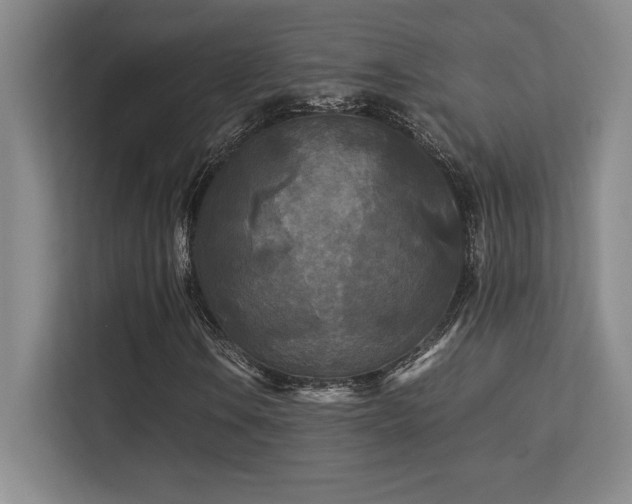 X0000113251106200909101423